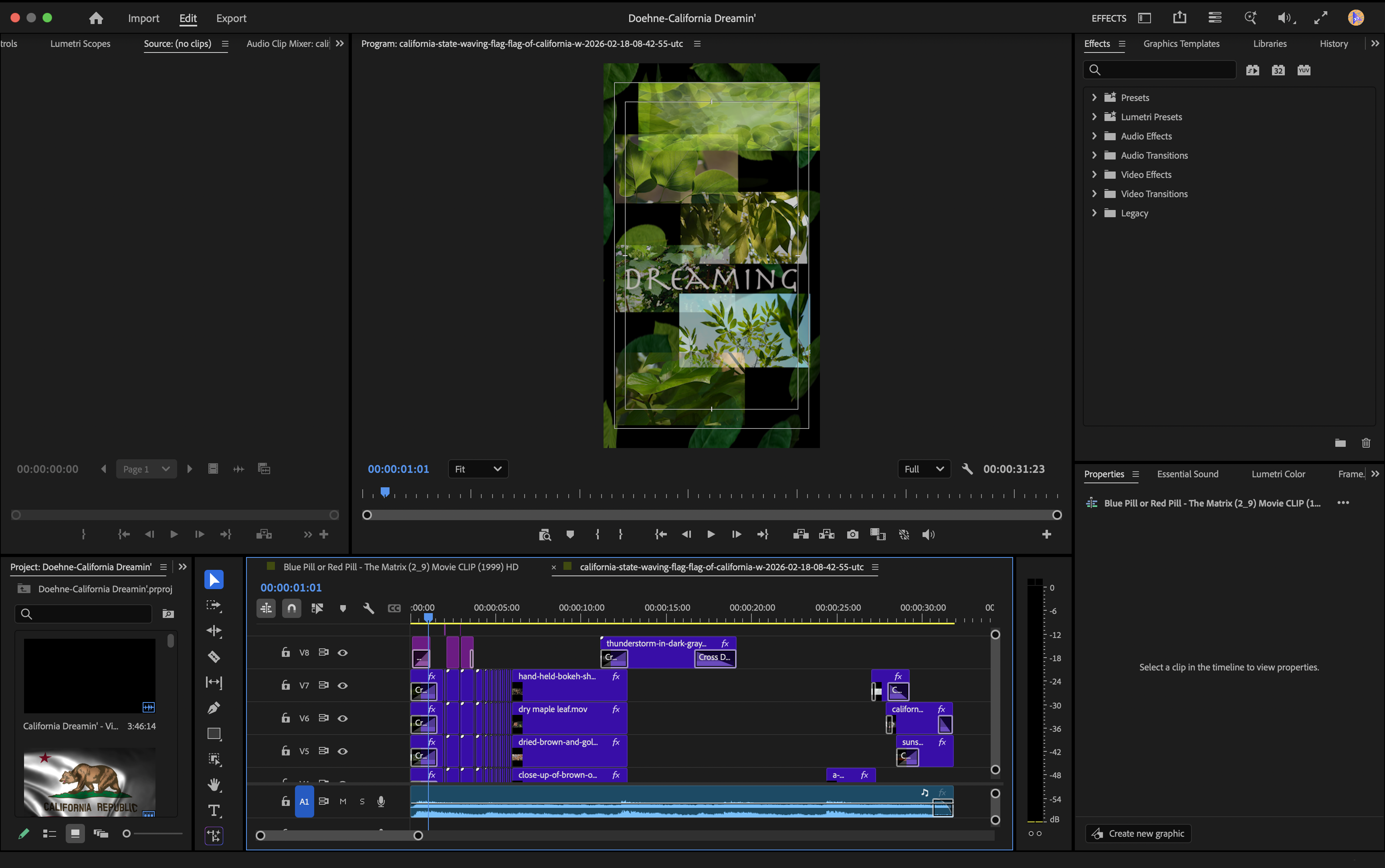 California Dreamin' - Premiere Pro