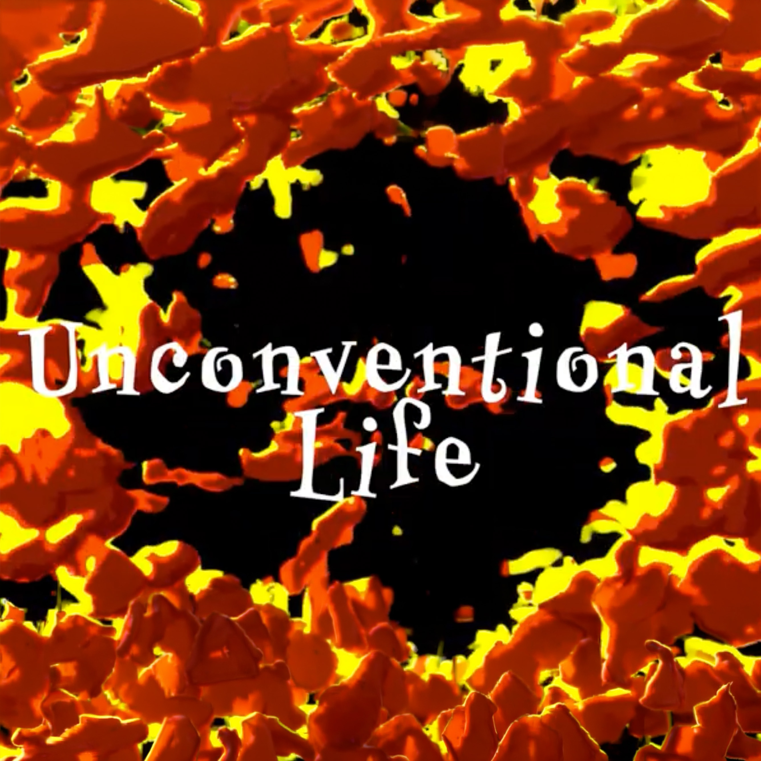 Unconventional Life - Video Preview